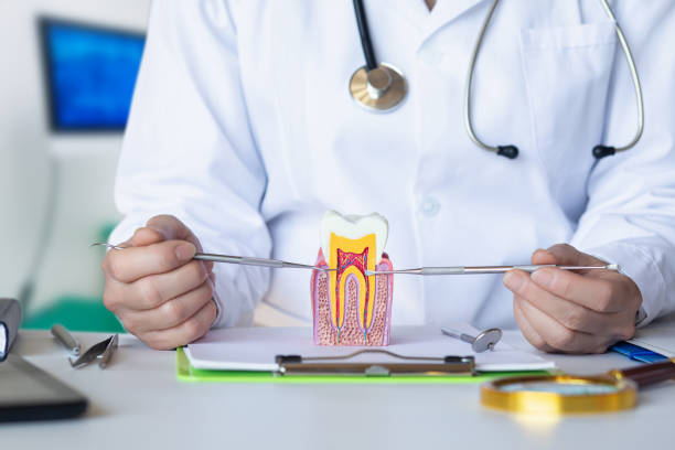 Best Emergency Dental Care for Sports Injuries in North Port, FL